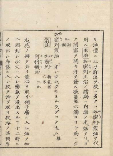 ensei iho meibutsuko v.6