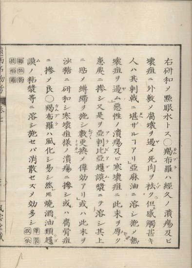 ensei iho meibutsuko v.7