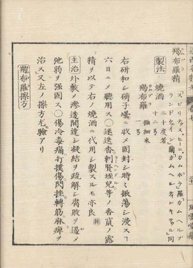 ensei iho meibutsuko v.7
