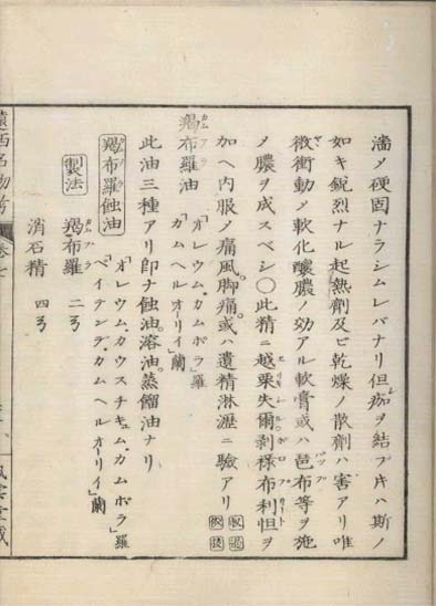 ensei iho meibutsuko v.7