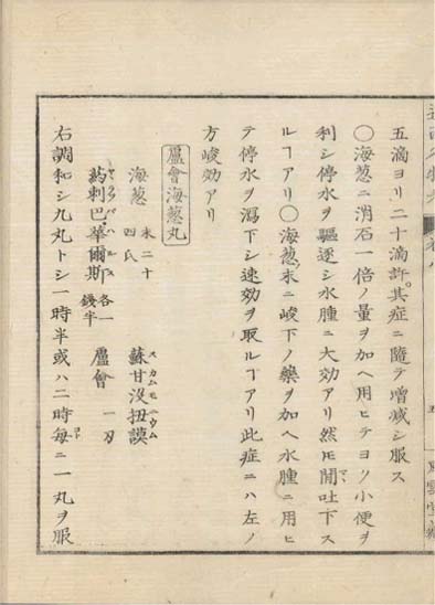 ensei iho meibutsuko v.8