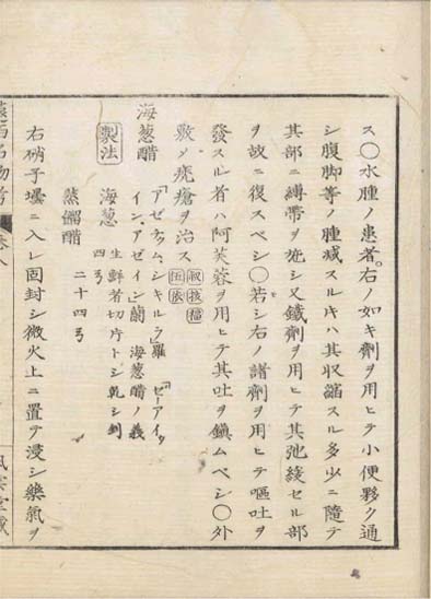 ensei iho meibutsuko v.8