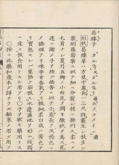 ensei iho meibutsuko v.8