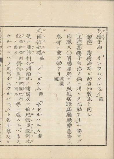 ensei iho meibutsuko v.8