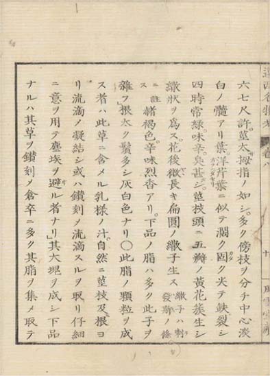 ensei iho meibutsuko v.8