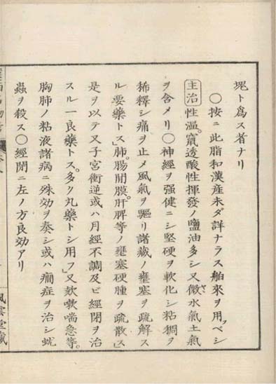 ensei iho meibutsuko v.8