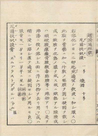 ensei iho meibutsuko v.8