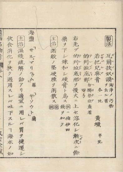 ensei iho meibutsuko v.8