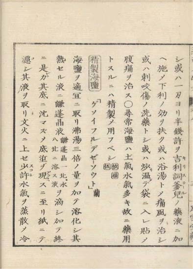 ensei iho meibutsuko v.8
