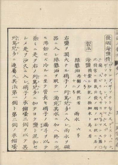 ensei iho meibutsuko v.8