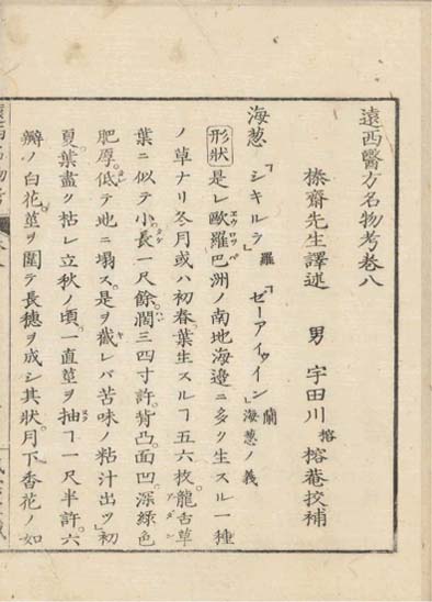 ensei iho meibutsuko v.8