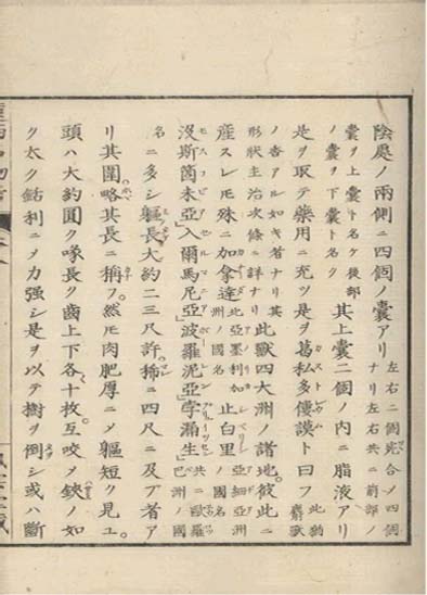 ensei iho meibutsuko v.8