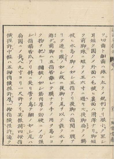 ensei iho meibutsuko v.8