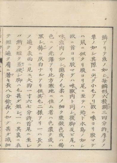 ensei iho meibutsuko v.8