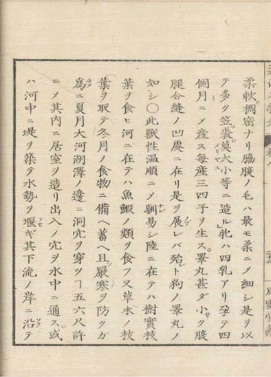 ensei iho meibutsuko v.8
