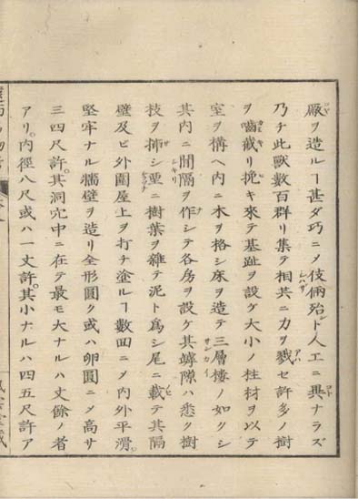 ensei iho meibutsuko v.8