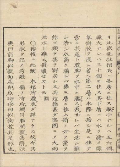 ensei iho meibutsuko v.8