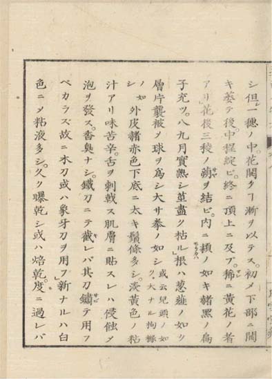 ensei iho meibutsuko v.8