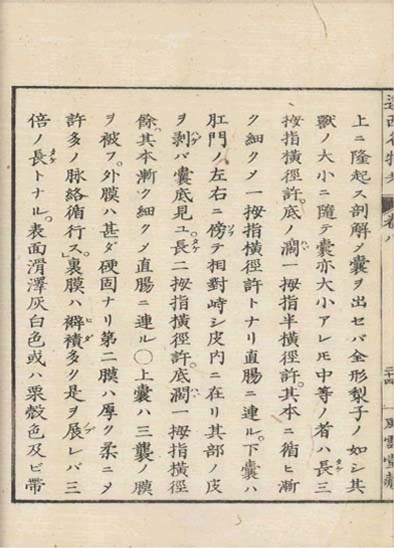 ensei iho meibutsuko v.8
