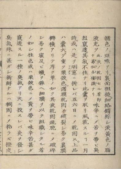 ensei iho meibutsuko v.8