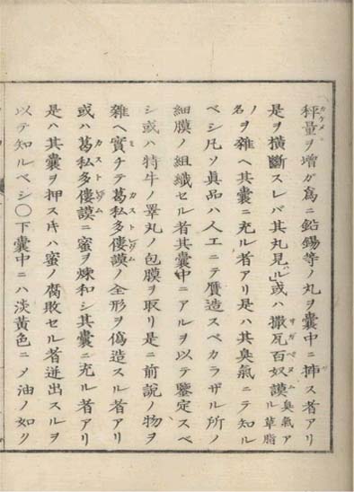 ensei iho meibutsuko v.8