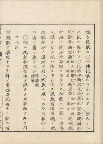 ensei iho meibutsuko v.8