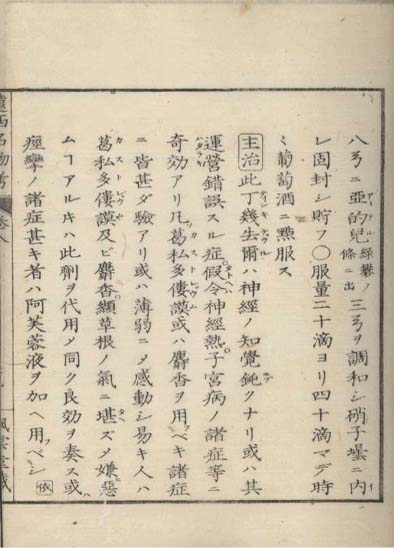 ensei iho meibutsuko v.8