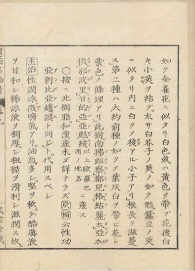 ensei iho meibutsuko v.9