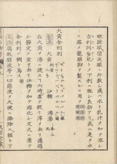 ensei iho meibutsuko v.9
