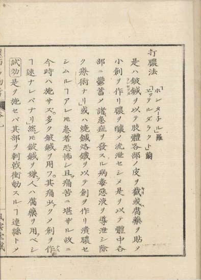 ensei iho meibutsuko v.9