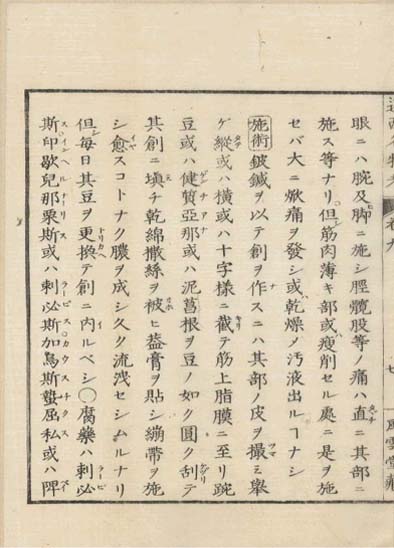 ensei iho meibutsuko v.9