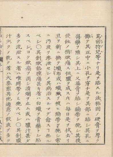 ensei iho meibutsuko v.9