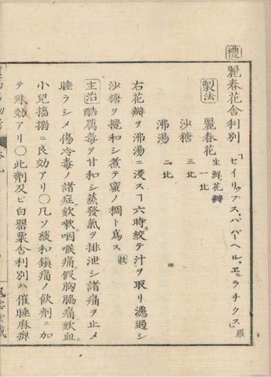 ensei iho meibutsuko v.9