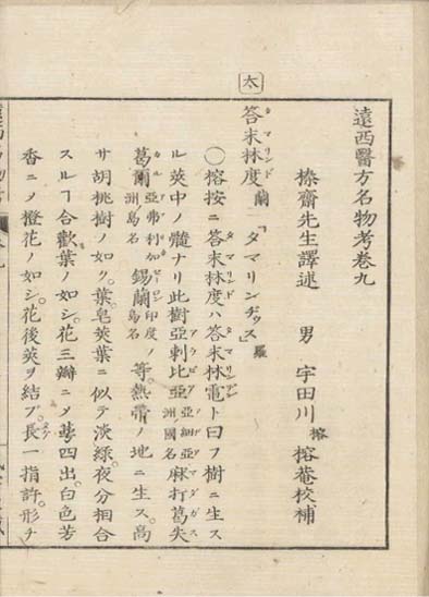 ensei iho meibutsuko v.9