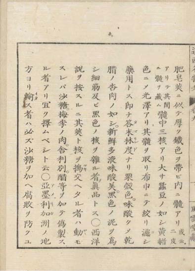 ensei iho meibutsuko v.9