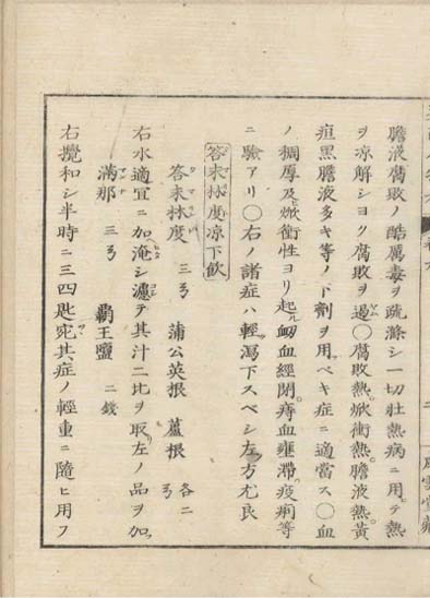 ensei iho meibutsuko v.9