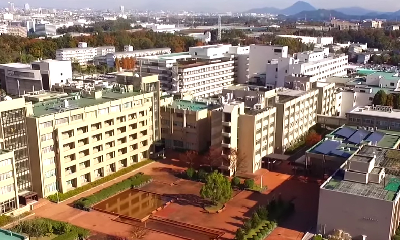 写真：空撮映像のスナップショット