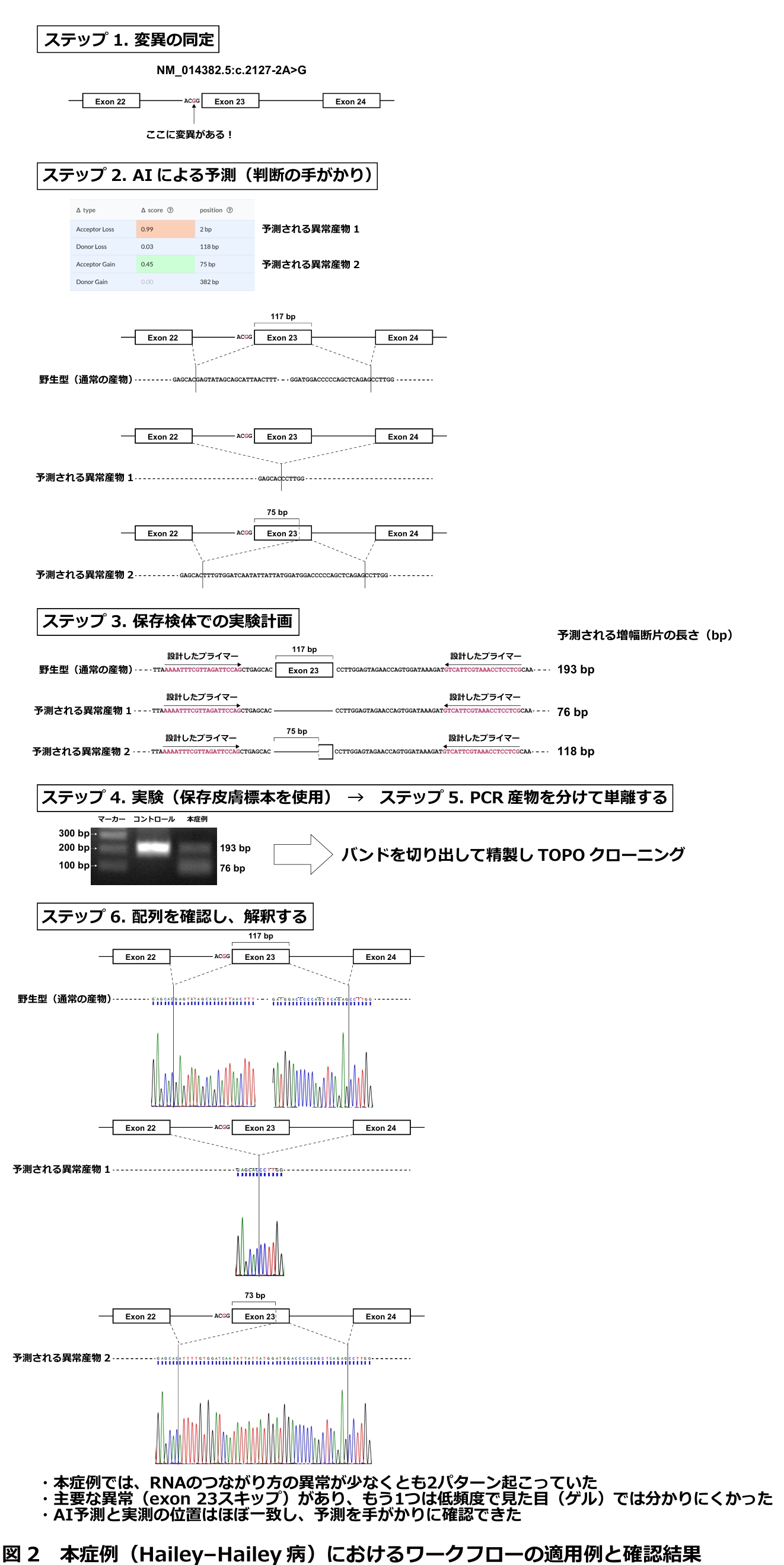 図２