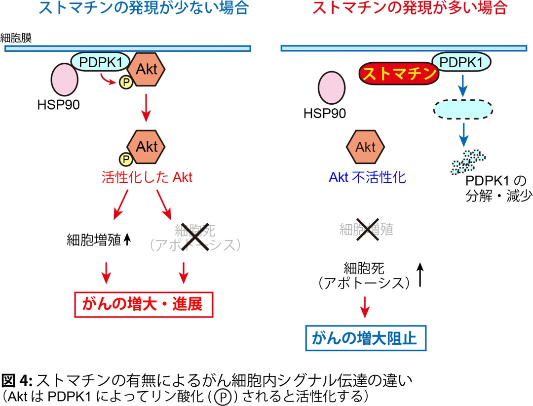 図4