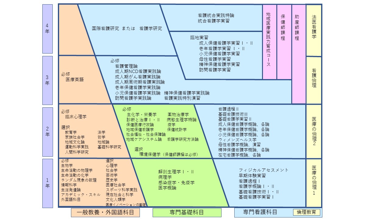 新カリキュラム図2022年9月更新