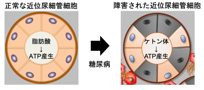 図1