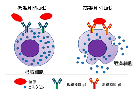 図2