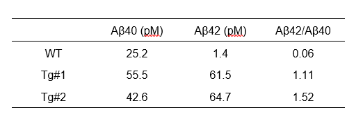 表１．野生型サル（ＷＴ）と遺伝子組換えモデルサル（Tg#1とTg#2）における血中Aβ40，Aβ42レベルとAβ42/Aβ40比