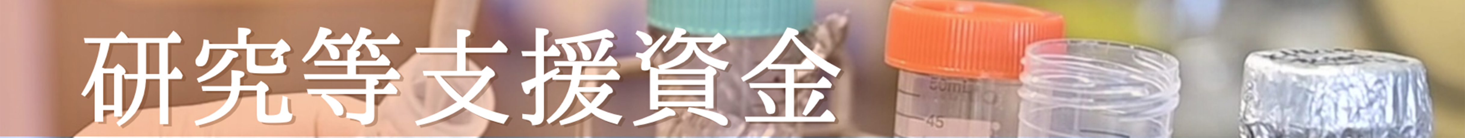 研究等支援資金バナー
