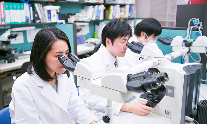 Photo: A few students watching a microscope