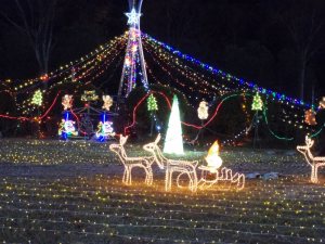 写真：クリスマスイルミネーション