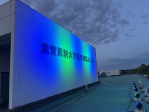 ライトアップの様子