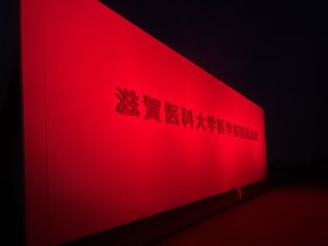ライトアップ風景