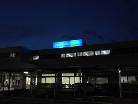 ライトアップの様子