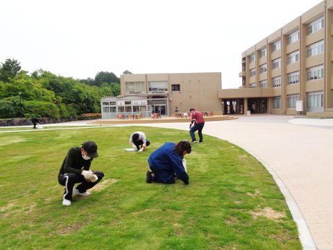 1.中庭での雑草引きの様子